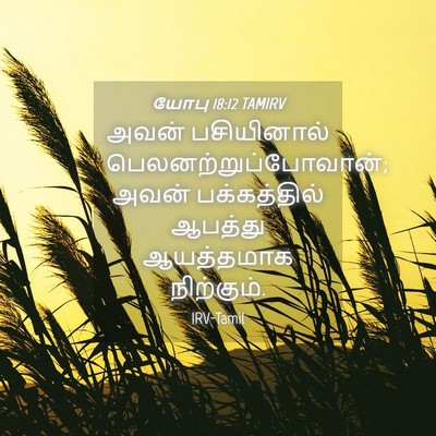 Picture 04 - யோபு 18:12 TAMIRV - அவன் பசியினால் - Bible Verse Picture