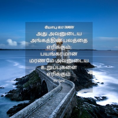 Picture 04 - யோபு 18:13 TAMIRV - அது அவனுடைய - Bible Verse Picture