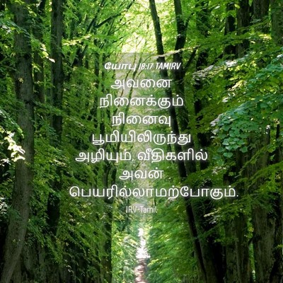 Picture 04 - யோபு 18:17 TAMIRV - அவனை நினைக்கும் - Bible Verse Picture