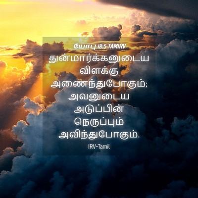 Picture 04 - யோபு 18:5 TAMIRV - துன்மார்க்கனுடைய - Bible Verse Picture