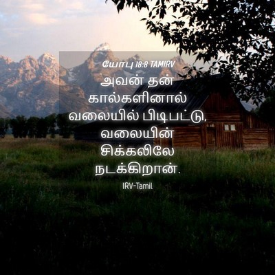 Picture 04 - யோபு 18:8 TAMIRV - அவன் தன் - Bible Verse Picture