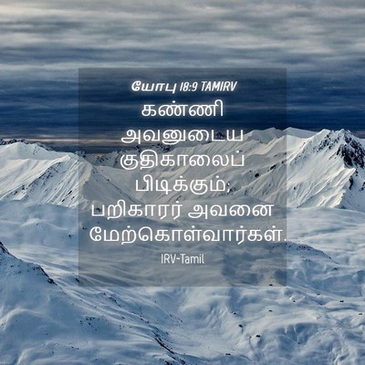 Picture 04 - யோபு 18:9 TAMIRV - கண்ணி அவனுடைய - Bible Verse Picture