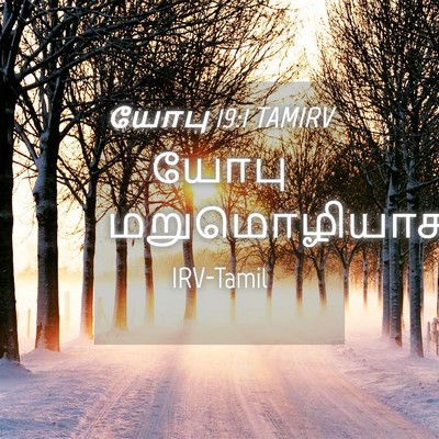 Picture 04 - யோபு 19:1 TAMIRV - யோபு - Bible Verse Picture