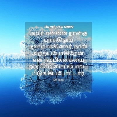 Picture 04 - யோபு 19:10 TAMIRV - அவர் என்னை நான்கு - Bible Verse Picture