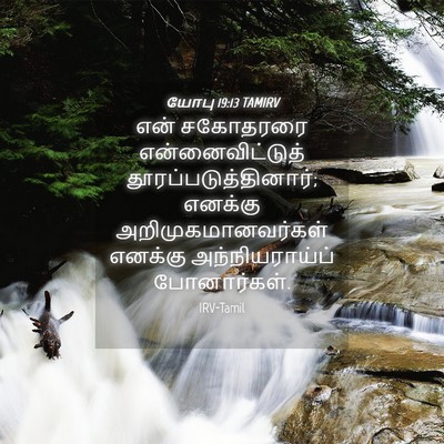 Picture 04 - யோபு 19:13 TAMIRV - என் சகோதரரை - Bible Verse Picture