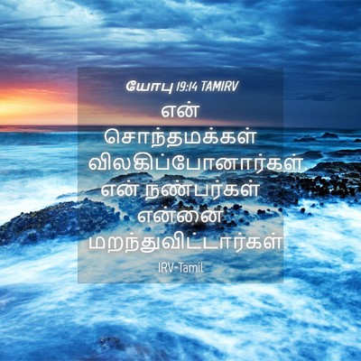 Picture 04 - யோபு 19:14 TAMIRV - என் சொந்தமக்கள் - Bible Verse Picture