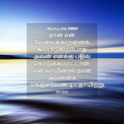 Picture 04 - யோபு 19:16 TAMIRV - நான் என் - Bible Verse Picture