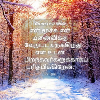 Picture 04 - யோபு 19:17 TAMIRV - என் மூச்சு என் - Bible Verse Picture