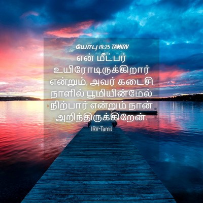 Picture 04 - யோபு 19:25 TAMIRV - என் மீட்பர் - Bible Verse Picture
