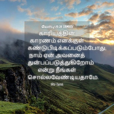 Picture 04 - யோபு 19:28 TAMIRV - காரியத்தின் - Bible Verse Picture
