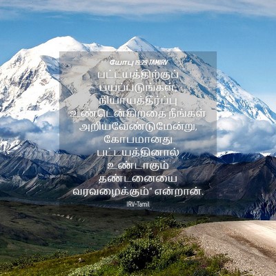 Picture 04 - யோபு 19:29 TAMIRV - பட்டயத்திற்குப் - Bible Verse Picture