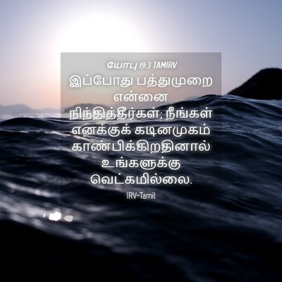 Picture 04 - யோபு 19:3 TAMIRV - இப்போது பத்துமுறை - Bible Verse Picture