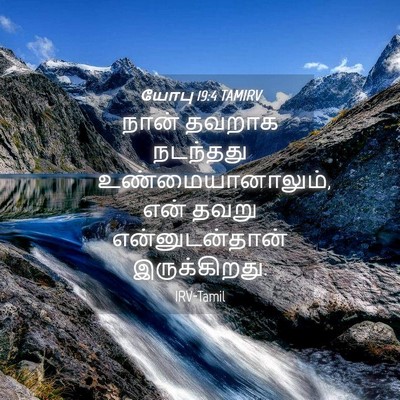 Picture 04 - யோபு 19:4 TAMIRV - நான் தவறாக - Bible Verse Picture