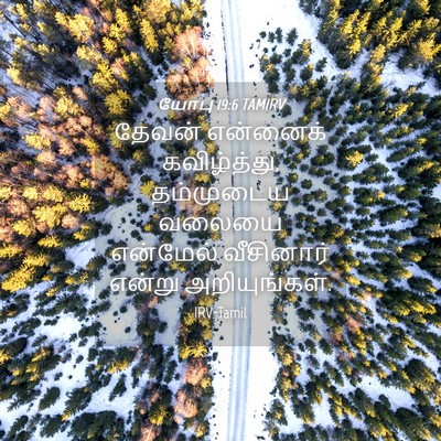 Picture 04 - யோபு 19:6 TAMIRV - தேவன் என்னைக் - Bible Verse Picture