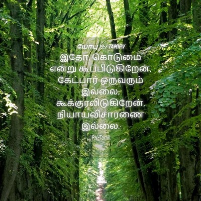 Picture 04 - யோபு 19:7 TAMIRV - இதோ, கொடுமை என்று - Bible Verse Picture