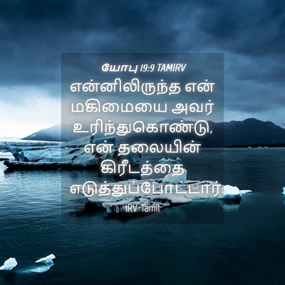 Picture 04 - யோபு 19:9 TAMIRV - என்னிலிருந்த என் - Bible Verse Picture