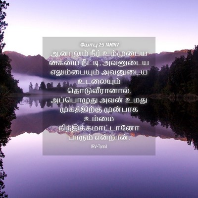 Picture 04 - யோபு 2:5 TAMIRV - ஆனாலும் நீர் - Bible Verse Picture