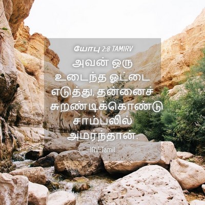 Picture 04 - யோபு 2:8 TAMIRV - அவன் ஒரு உடைந்த - Bible Verse Picture