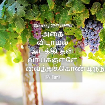 Picture 04 - யோபு 20:13 TAMIRV - அதை விடாமல் - Bible Verse Picture