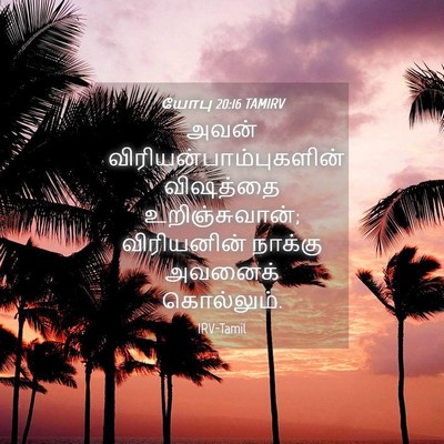 Picture 04 - யோபு 20:16 TAMIRV - அவன் - Bible Verse Picture