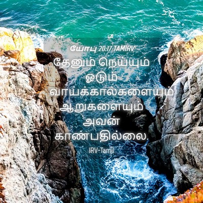 Picture 04 - யோபு 20:17 TAMIRV - தேனும் நெய்யும் - Bible Verse Picture