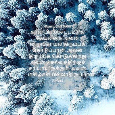 Picture 04 - யோபு 20:18 TAMIRV - தான் - Bible Verse Picture