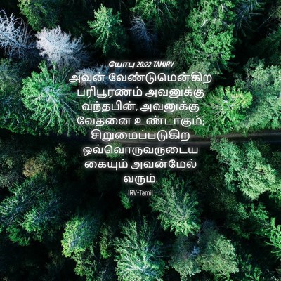 Picture 04 - யோபு 20:22 TAMIRV - அவன் - Bible Verse Picture