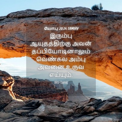 Picture 04 - யோபு 20:24 TAMIRV - இரும்பு - Bible Verse Picture
