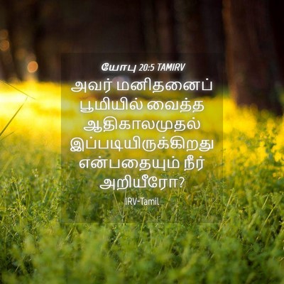 Picture 04 - யோபு 20:5 TAMIRV - அவர் மனிதனைப் - Bible Verse Picture