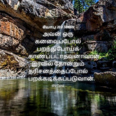 Picture 04 - யோபு 20:8 TAMIRV - அவன் ஒரு - Bible Verse Picture