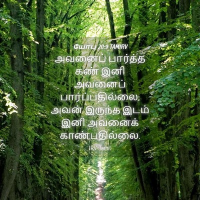 Picture 04 - யோபு 20:9 TAMIRV - அவனைப் பார்த்த - Bible Verse Picture