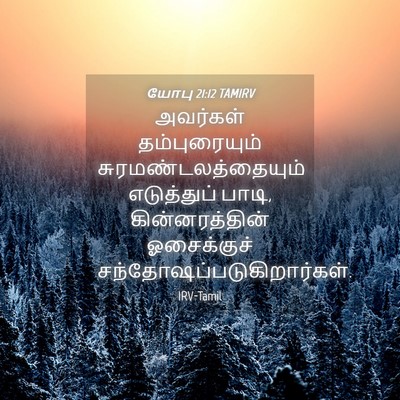 Picture 04 - யோபு 21:12 TAMIRV - அவர்கள் - Bible Verse Picture