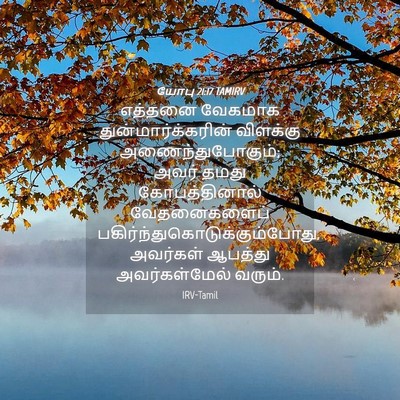 Picture 04 - யோபு 21:17 TAMIRV - எத்தனை வேகமாக - Bible Verse Picture