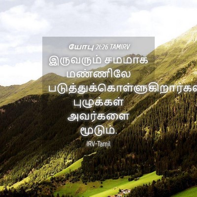 Picture 04 - யோபு 21:26 TAMIRV - இருவரும் சமமாக - Bible Verse Picture