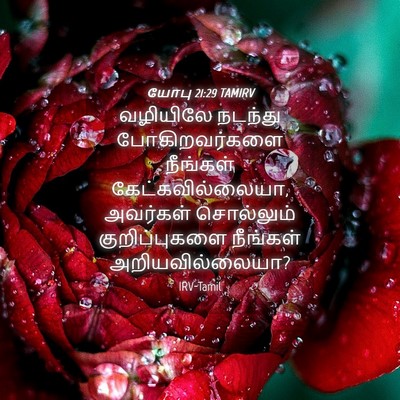 Picture 04 - யோபு 21:29 TAMIRV - வழியிலே நடந்து - Bible Verse Picture