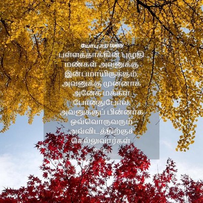 Picture 04 - யோபு 21:33 TAMIRV - பள்ளத்தாக்கின் - Bible Verse Picture