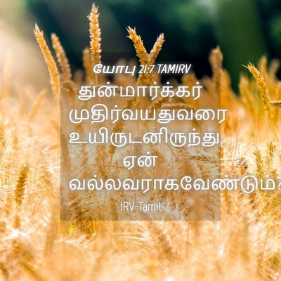 Picture 04 - யோபு 21:7 TAMIRV - துன்மார்க்கர் - Bible Verse Picture