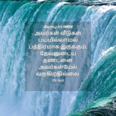 Picture 04 - யோபு 21:9 TAMIRV - அவர்கள் வீடுகள் - Bible Verse Picture