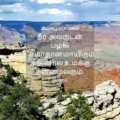 Picture 04 - யோபு 22:21 TAMIRV - நீர் அவருடன் பழகி - Bible Verse Picture