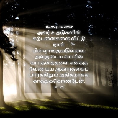 Picture 04 - யோபு 23:12 TAMIRV - அவர் உதடுகளின் - Bible Verse Picture