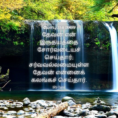 Picture 04 - யோபு 23:16 TAMIRV - தேவன் என் - Bible Verse Picture