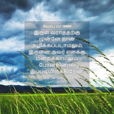 Picture 04 - யோபு 23:17 TAMIRV - இருள் வராததற்கு - Bible Verse Picture