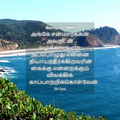 Picture 04 - யோபு 23:7 TAMIRV - அங்கே - Bible Verse Picture