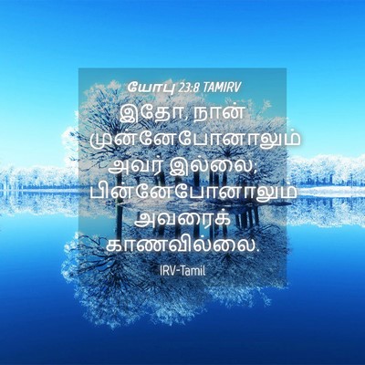 Picture 04 - யோபு 23:8 TAMIRV - இதோ, நான் - Bible Verse Picture