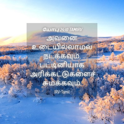 Picture 04 - யோபு 24:10 TAMIRV - அவனை உடையில்லாமல் - Bible Verse Picture