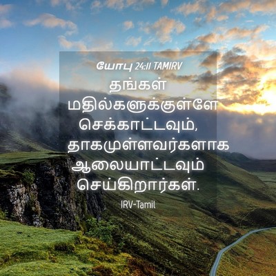 Picture 04 - யோபு 24:11 TAMIRV - தங்கள் - Bible Verse Picture