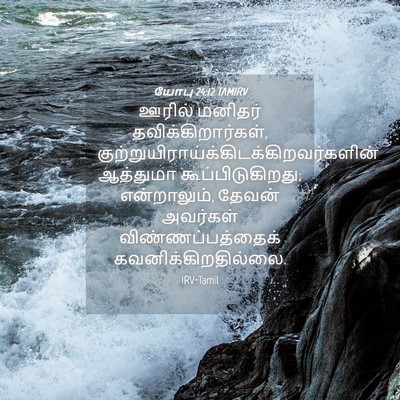 Picture 04 - யோபு 24:12 TAMIRV - ஊரில் மனிதர் - Bible Verse Picture