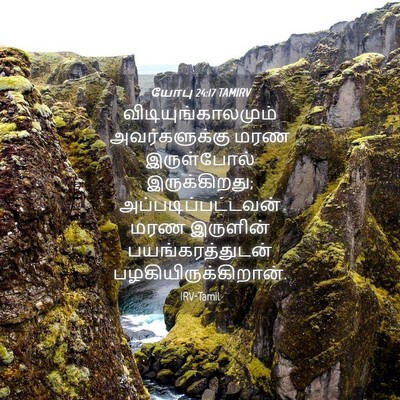 Picture 04 - யோபு 24:17 TAMIRV - விடியுங்காலமும் - Bible Verse Picture