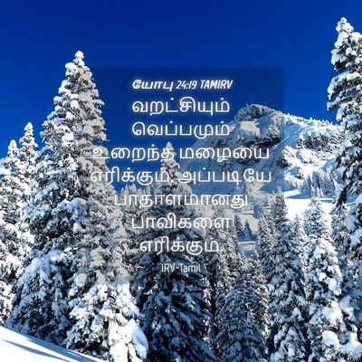 Picture 04 - யோபு 24:19 TAMIRV - வறட்சியும் - Bible Verse Picture
