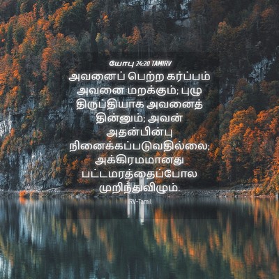 Picture 04 - யோபு 24:20 TAMIRV - அவனைப் பெற்ற - Bible Verse Picture